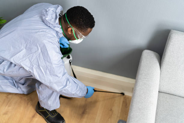 Best Bed Bug Extermination  in Alto, TX